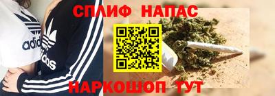 индика Тара