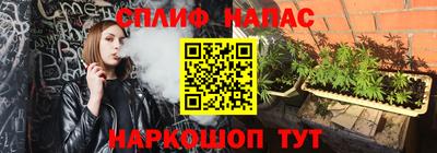индика Тара