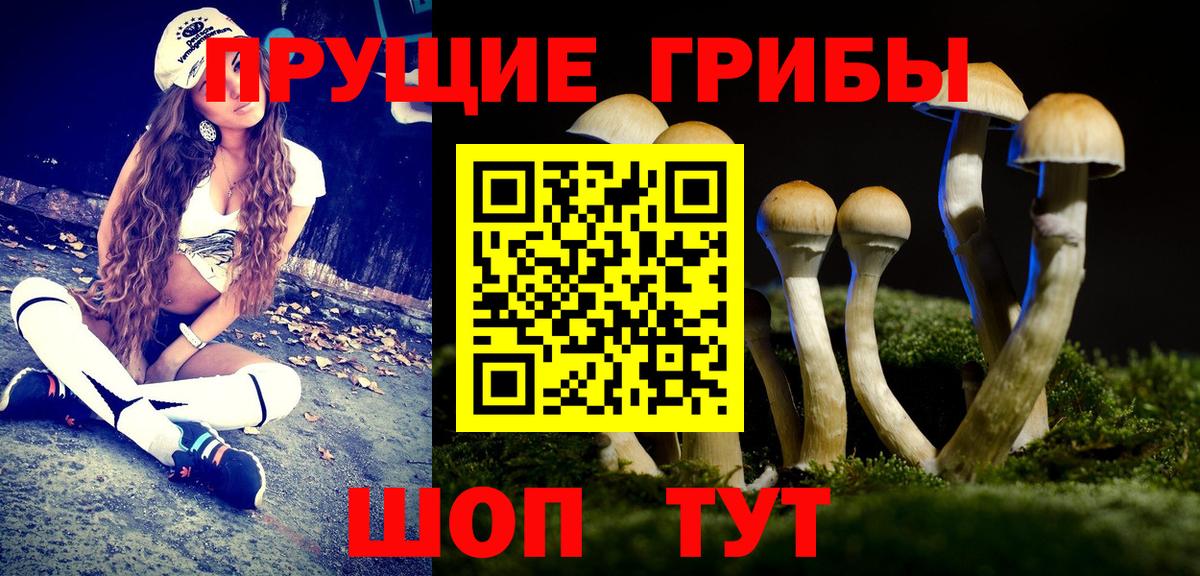 Псилоцибиновые грибы GOLDEN TEACHER Мариинск